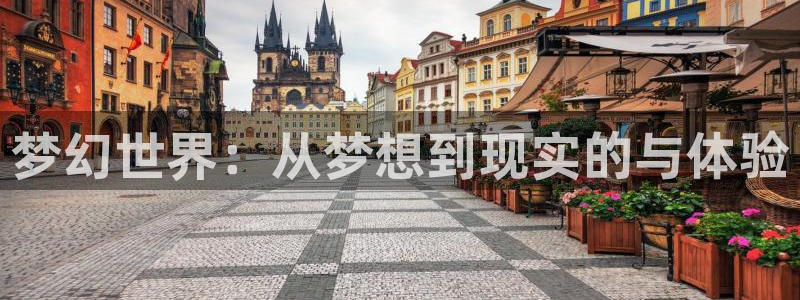 梦幻世界：从梦想到现实的与体验